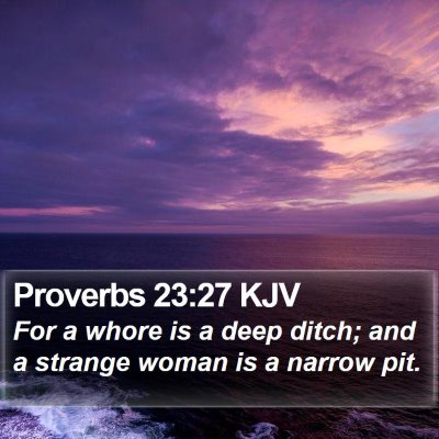 Proverbs 23:27 KJV Bible Verse Image