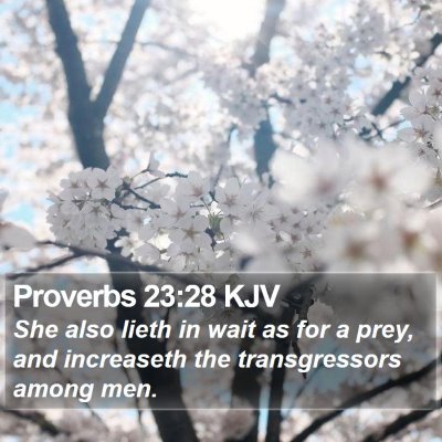 Proverbs 23:28 KJV Bible Verse Image