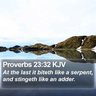 Proverbs 23:32 KJV Bible Verse Image