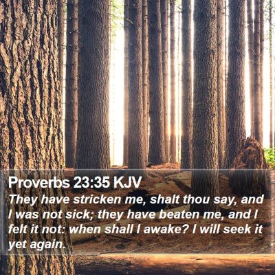 Proverbs 23:35 KJV Bible Verse Image