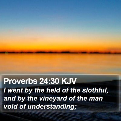 Proverbs 24:30 KJV Bible Verse Image