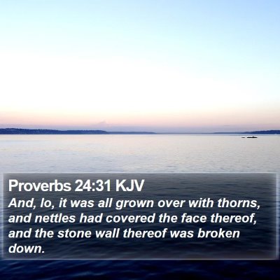 Proverbs 24:31 KJV Bible Verse Image