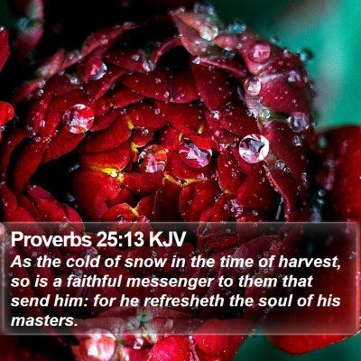Proverbs 25:13 KJV Bible Verse Image