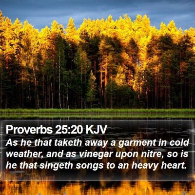 Proverbs 25:20 KJV Bible Verse Image