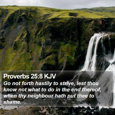Proverbs 25:8 KJV Bible Verse Image