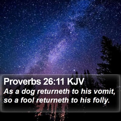 Proverbs 26:11 KJV Bible Verse Image