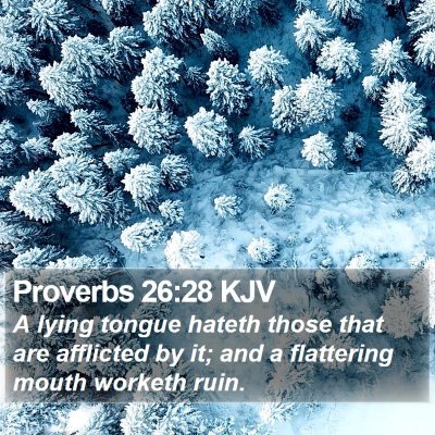 Proverbs 26:28 KJV Bible Verse Image