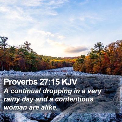Proverbs 27:15 KJV Bible Verse Image