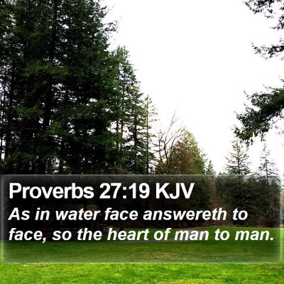 Proverbs 27:19 KJV Bible Verse Image
