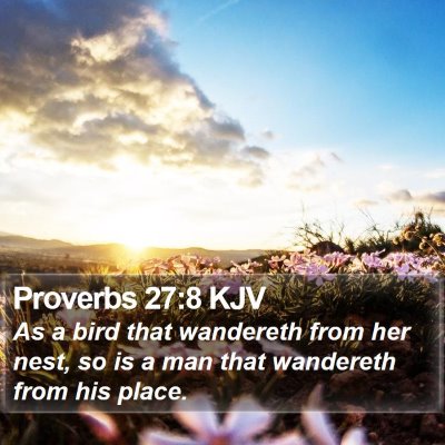 Proverbs 27:8 KJV Bible Verse Image