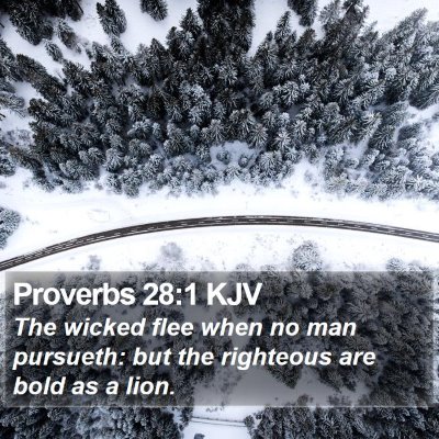 Proverbs 28:1 KJV Bible Verse Image