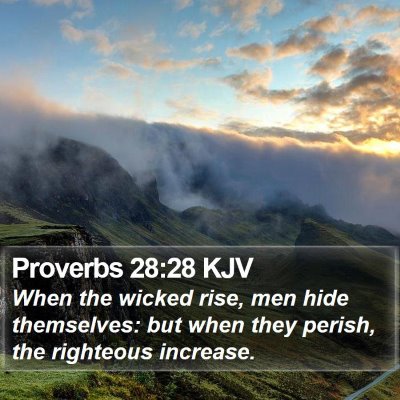 Proverbs 28:28 KJV Bible Verse Image