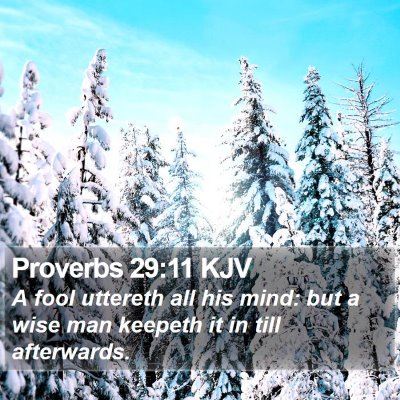 Proverbs 29:11 KJV Bible Verse Image