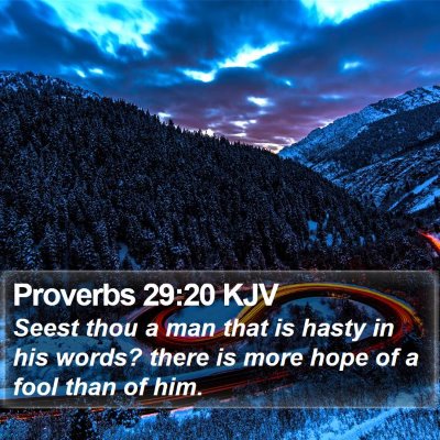 Proverbs 29:20 KJV Bible Verse Image
