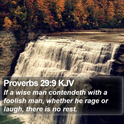 Proverbs 29:9 KJV Bible Verse Image