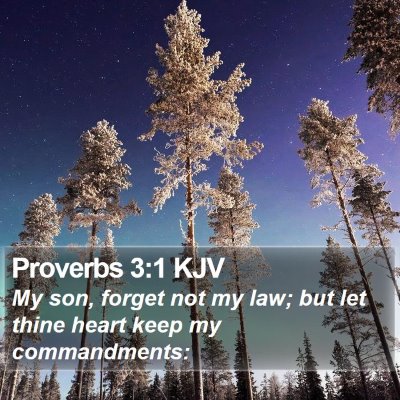 Proverbs 3:1 KJV Bible Verse Image