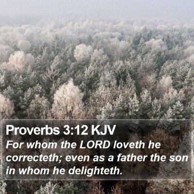 Proverbs 3:12 KJV Bible Verse Image