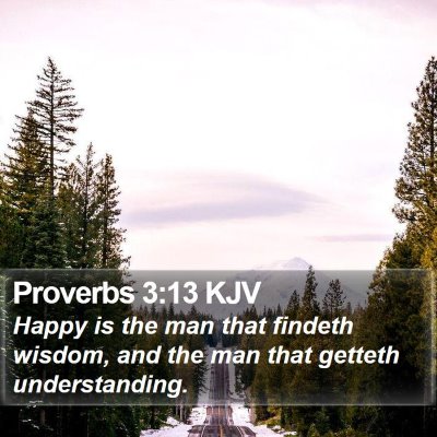 Proverbs 3:13 KJV Bible Verse Image