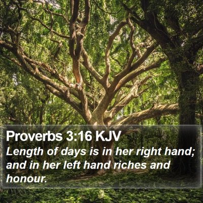 Proverbs 3:16 KJV Bible Verse Image