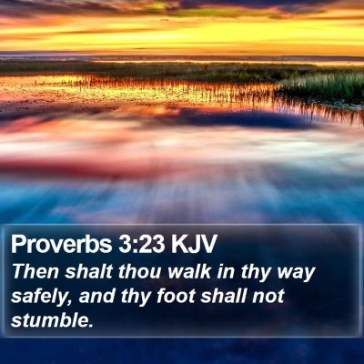 Proverbs 3:23 KJV Bible Verse Image