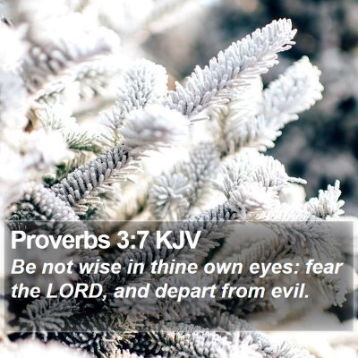 Proverbs 3:7 KJV Bible Verse Image