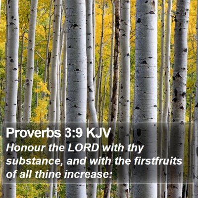 Proverbs 3:9 KJV Bible Verse Image
