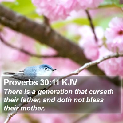 Proverbs 30:11 KJV Bible Verse Image