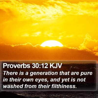 Proverbs 30:12 KJV Bible Verse Image