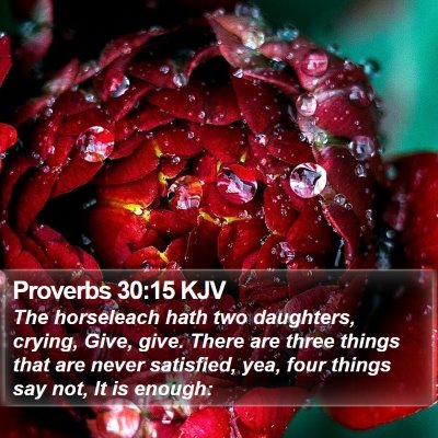 Proverbs 30:15 KJV Bible Verse Image