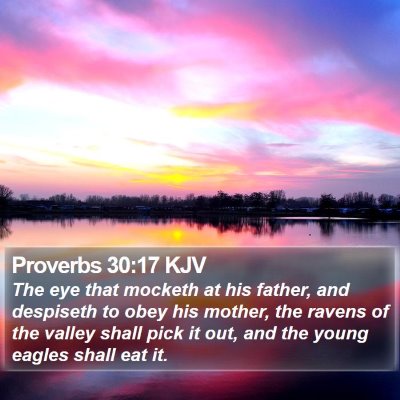 Proverbs 30:17 KJV Bible Verse Image