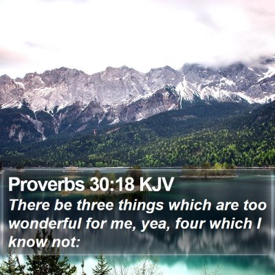 Proverbs 30:18 KJV Bible Verse Image