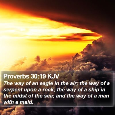Proverbs 30:19 KJV Bible Verse Image
