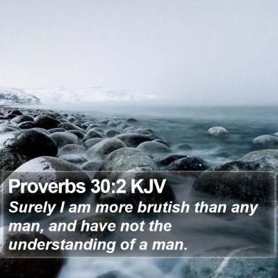 Proverbs 30:2 KJV Bible Verse Image