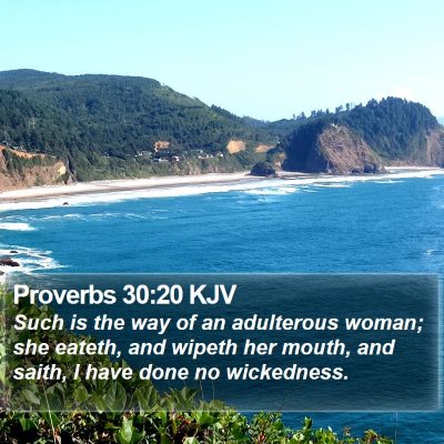 Proverbs 30:20 KJV Bible Verse Image