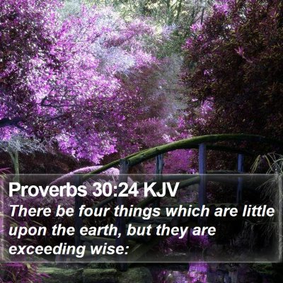 Proverbs 30:24 KJV Bible Verse Image
