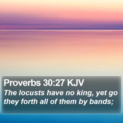 Proverbs 30:27 KJV Bible Verse Image