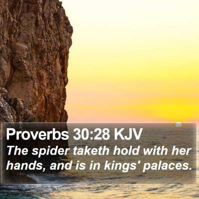 Proverbs 30:28 KJV Bible Verse Image