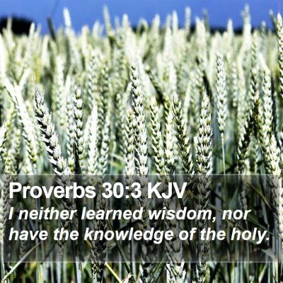 Proverbs 30:3 KJV Bible Verse Image
