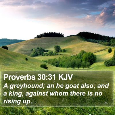 Proverbs 30:31 KJV Bible Verse Image