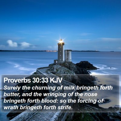 Proverbs 30:33 KJV Bible Verse Image