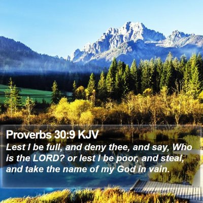 Proverbs 30:9 KJV Bible Verse Image