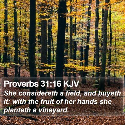 Proverbs 31:16 KJV Bible Verse Image