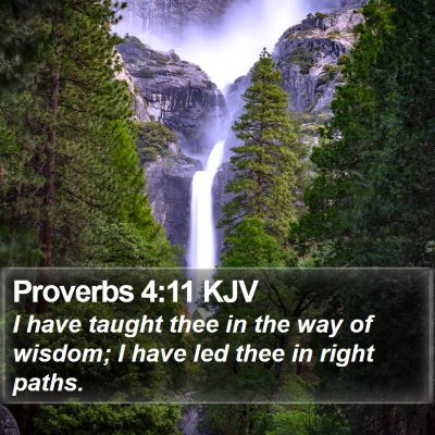 Proverbs 4:11 KJV Bible Verse Image