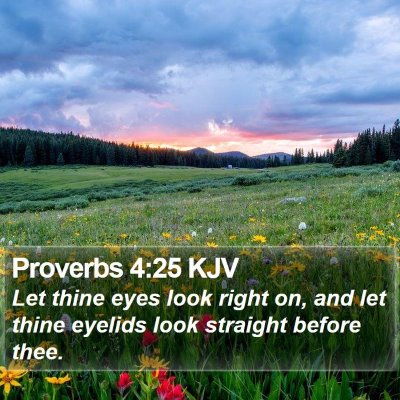 Proverbs 4:25 KJV Bible Verse Image