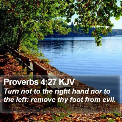 Proverbs 4:27 KJV Bible Verse Image