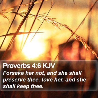 Proverbs 4:6 KJV Bible Verse Image