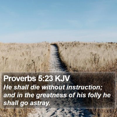 Proverbs 5:23 KJV Bible Verse Image