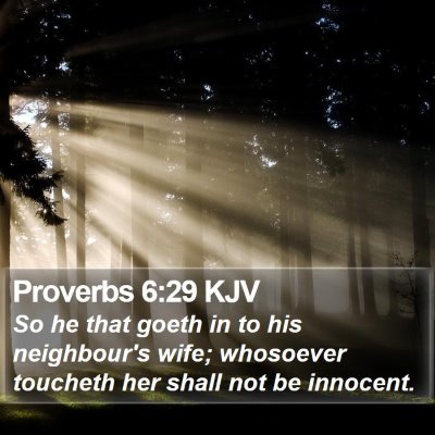 Proverbs 6:29 KJV Bible Verse Image