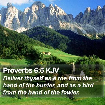 Proverbs 6:5 KJV Bible Verse Image