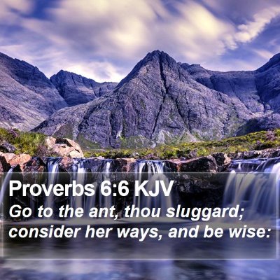 Proverbs 6:6 KJV Bible Verse Image
